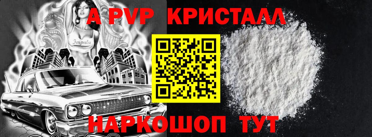 A PVP СК Шатура